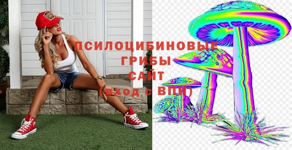 mix Богородицк