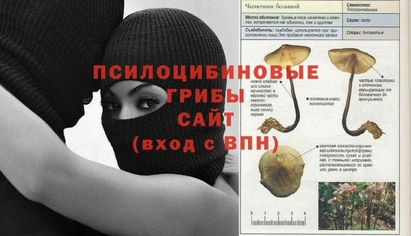 mix Богородицк